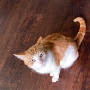 Meet your Posher, Aslinur